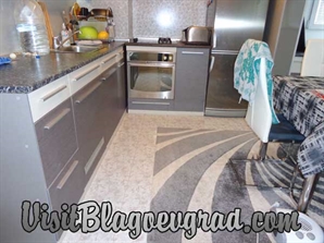 Excellent two-bedroom apartment in Elenovo