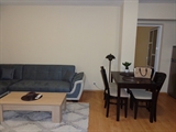 Furnished one bedroom apartment for rent